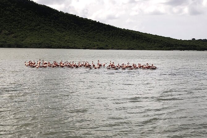 Half Day Hato Cave, Flamingo & Beach Tour - Hato Caves bring Curaçao’s past underground