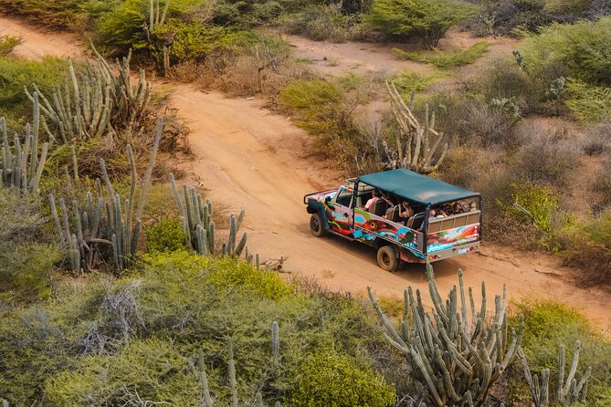 Half Day Off-Road & Snorkel Safari - Forty-five minutes at Dinah Veeris’ botanical garden