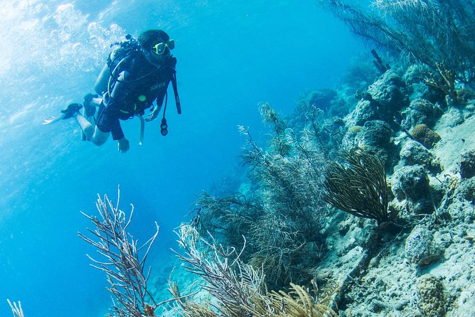 Introduction Shore Dive with Scubaçao (1 dive) - Why this Curaçao introduction works for first-timers
