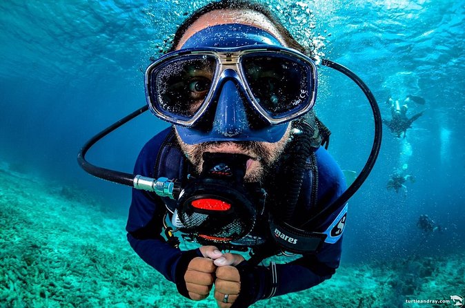 Introduction Shore Dive with Scubaçao (2 dives) - Pickup helps cruise guests, but confirm the meeting plan