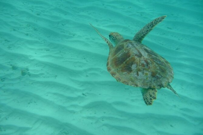 Klein Curacao Daytrip - All Inclusive Full Day Boat Tour - Timing, meeting point, and cancellation details