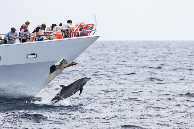 Klein Curacao Superyacht and Beach house - The beach house, bar, and massage option