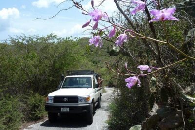 National Park Jeep Safari