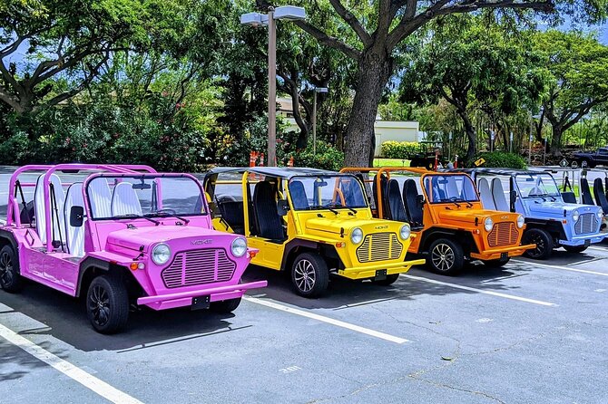 <strong><em> New Product </em></strong> Moke My Day Adventure Tour free WiFi – Key points at a glance’ /></p>
<ul>
<li><strong>Drive your own Moke:</strong> The open-air vehicle gives you a more playful way to see Curaçao than a closed tour van.</li>
<li><strong>City and beach in one outing:</strong> Pair colorful Willemstad and Otrobanda with Cas Abao, Kenepa Grandi, or Playa Piskadó.</li>
<li><strong>A good cruise-port fit:</strong> The 3 to 5 hour length can work well when your time ashore is limited.</li>
<li><strong>Monte may guide your city visit:</strong> He has been described as personable and fun during a guided Moke outing.</li>
<li><strong>Check the vehicle before departure:</strong> Some bookings have been changed to guided tours when the promised new Moke was unavailable.</li>
<li><strong>Cancellation is simple if you act early:</strong> Cancel at least 24 hours before the start time for a full refund.</li>
</ul>
<h2>Why a Moke suits Curaçao</h2>
<p><img width="670" height="446" decoding="async" src=