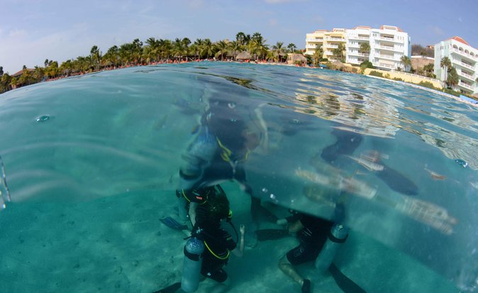 Open Water Diver Course at Blue Bay Dive in Curacao - The reef setting adds real value