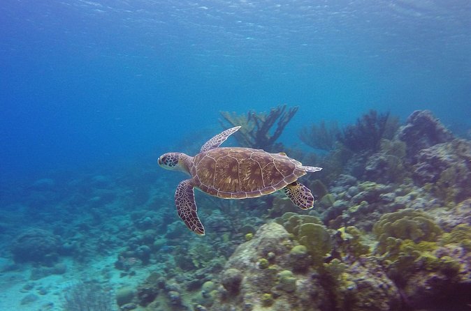 Open Water Diver Course at Blue Bay Dive in Curacao - Instructors and the importance of a good match