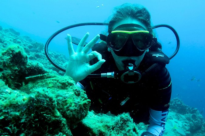 Open Water Diver Course at Blue Bay Dive in Curacao - Who should book this course