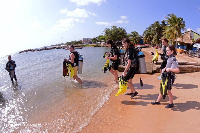 PADI Discover Scuba Dive - Your first underwater breath in Curaçao