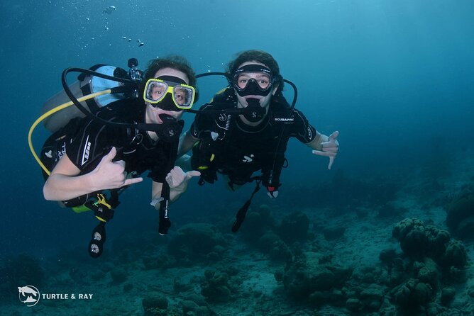 PADI Discover Scuba Dive - Getting used to the equipment in shallow water