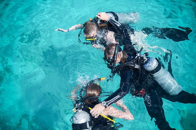 PADI Discover Scuba Dive at 5 Star Dive Center Blue Bay Dive, Curacao - A small group gives this session its value