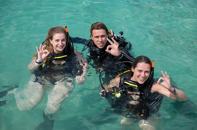 PADI Discover Scuba Dive at 5 Star Dive Center Blue Bay Dive, Curacao - Who will enjoy this Blue Bay session most