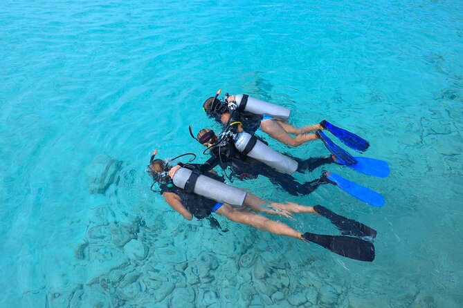 PADI Discover Scuba Dive at Coral Divers Curacao - Learning the basics before entering the sea