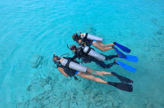 PADI Discover Scuba Dive at Coral Divers Curacao - Meeting at Rif St Marie