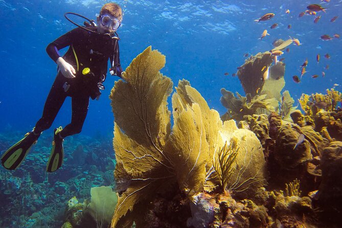 Personalized 2 Tank Guided Experience in Curaçao - The break between sessions