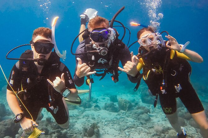 Personalized Discover Scuba Dive Experience in Curaçao - Key points to know before booking