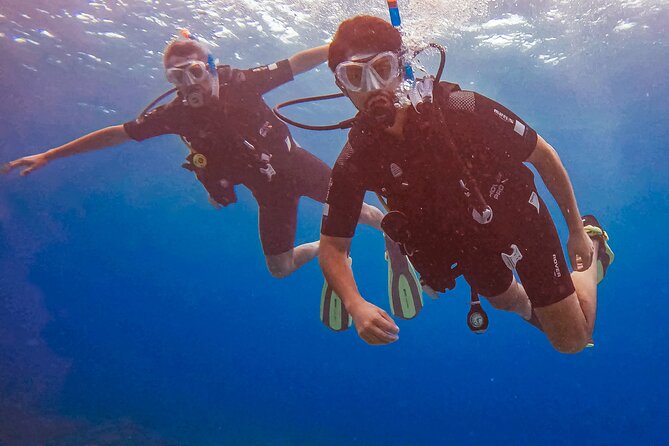 Personalized Discover Scuba Dive Experience in Curaçao - Pickup helps, especially from a cruise ship
