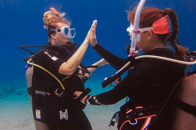 Personalized Discover Scuba Dive Experience in Curaçao - Is $125 a fair price?