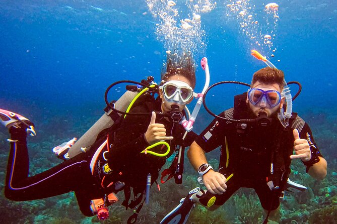 Personalized Discover Scuba Dive Experience in Curaçao - Practical details that can affect your day