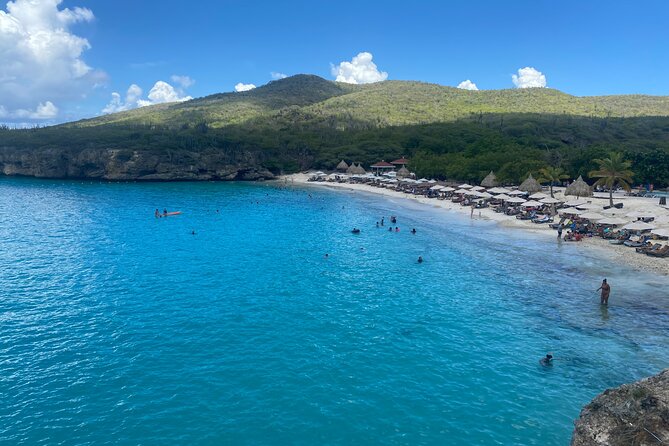 Private Westcoast Beachhop Tour. Turtle beach, grote knip & More - Playa Forti for views and cliff jumping