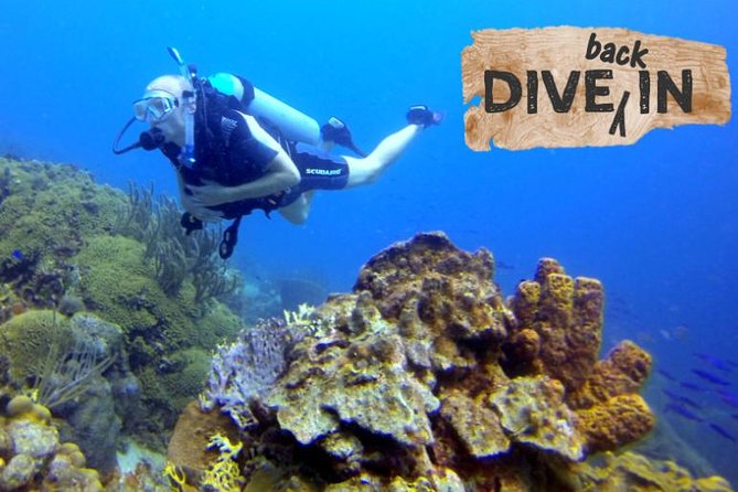 Refresher Dive - A practical return to scuba in Curaçao