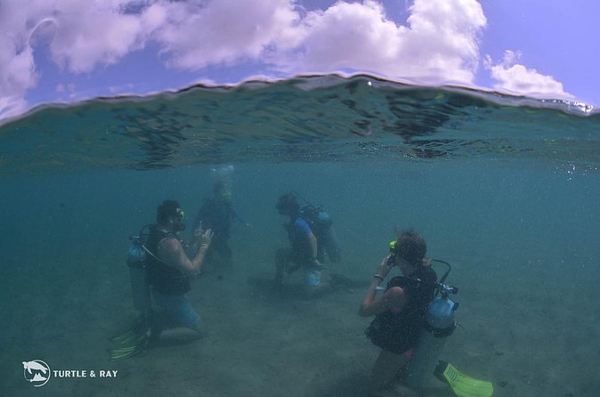 Refresher Dive - Who should book this course?