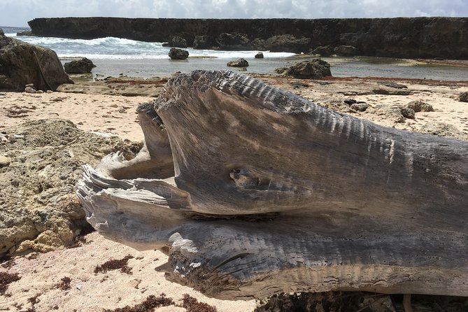 Snorkel and Beach Adventure Tour - Why this tour works as a first day in Curacao