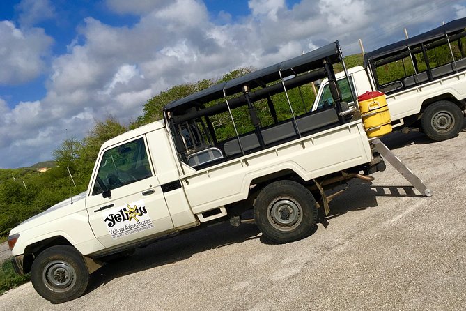 Snorkel and Beach Adventure Tour - Playa Piskado and the chance to see sea turtles