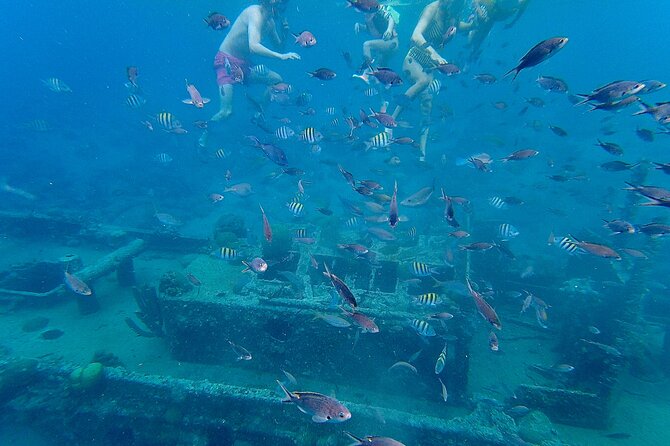 Snorkel boat trip: Sunken ship, old dutch fort & spanish bay - What the $90 price covers