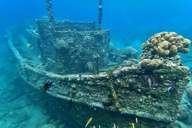 Snorkel boat trip: Sunken ship, old dutch fort & spanish bay - Practical advice for a smoother morning