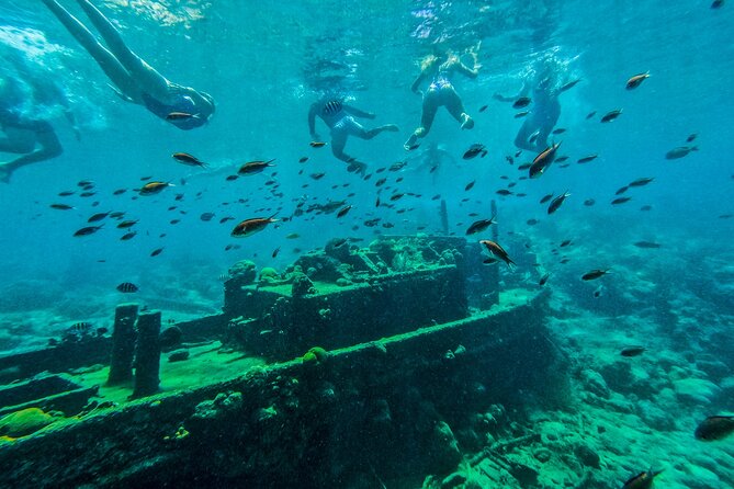 Snorkel Hopping Full Day Trip with F&B - Key points to know before you book