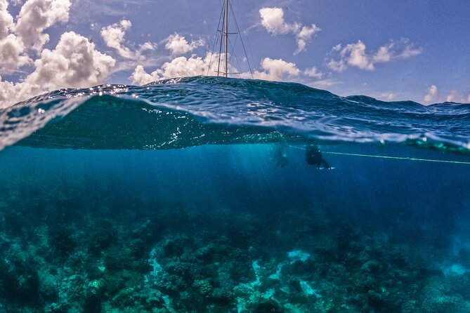 Snorkel Hopping Full Day Trip with F&B - What the crew adds to the day