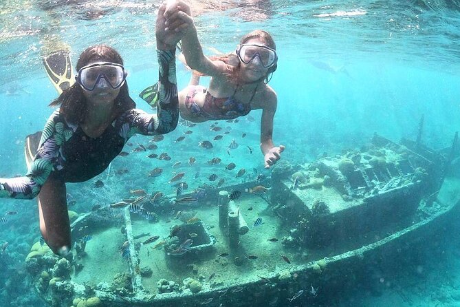Snorkel Shore Trip with Scubaçao "East Point" - Key points to know before you book