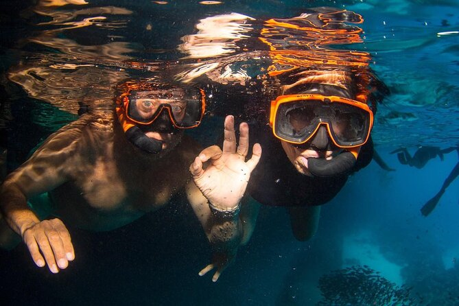 Snorkel Shore Trip with Scubaçao "East Point" - Tugboat Beach and the coral-covered wreck