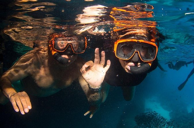 Snorkel Shore Trip with Scubaçao "East Point" - How the five-hour schedule works