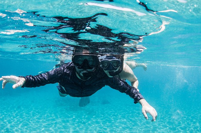 Snorkel Shore Trip with Scubaçao "East Point" - Is the $110 price fair?