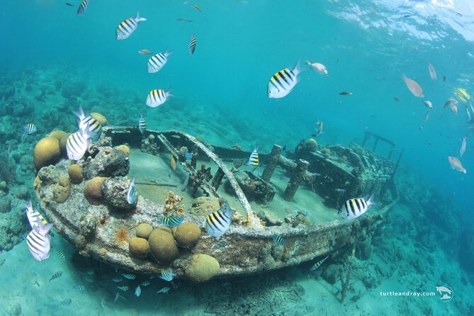 Snorkel Shore Trip with Scubaçao "East Point" - Who should book this Curaçao snorkeling trip?