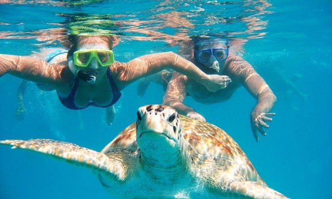 Snorkel Tour in Curacao - Key points to know before booking