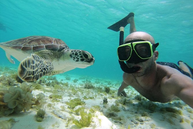Snorkel Tour in Curacao - What this Curacao snorkeling tour actually involves