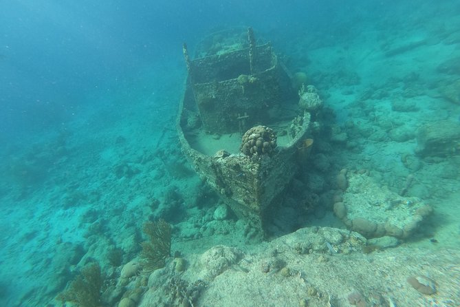 Snorkel Tour in Curacao - Equipment, water, and comfort