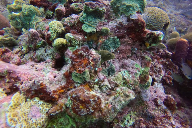 Snorkel Tour in Curacao - Timing and group size