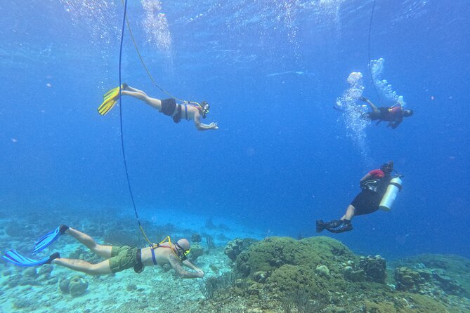 SNUBA Adventure in Curacao - Guided Shallow Dive - Key points about the Curaçao SNUBA experience