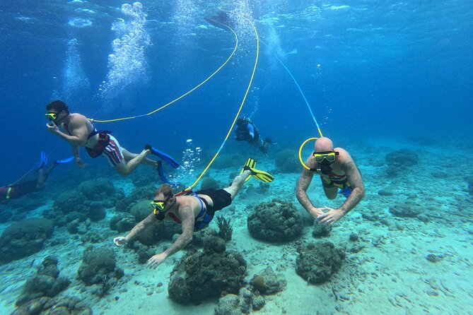 SNUBA Adventure in Curacao - Guided Shallow Dive - Coral, fish, and the appeal of a shallow reef