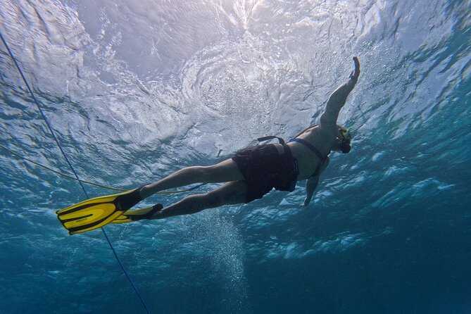 SNUBA Adventure in Curacao - Guided Shallow Dive - Booking, cancellation, and weather details