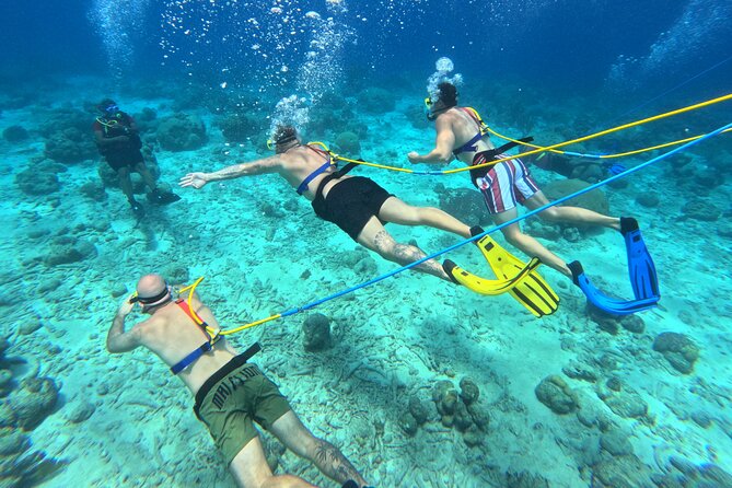 SNUBA Adventure in Curacao - Guided Shallow Dive - Why the guide makes such a difference