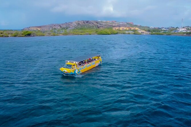 Splashy Iguana Tour in Curacao - Why the land-and-sea format works