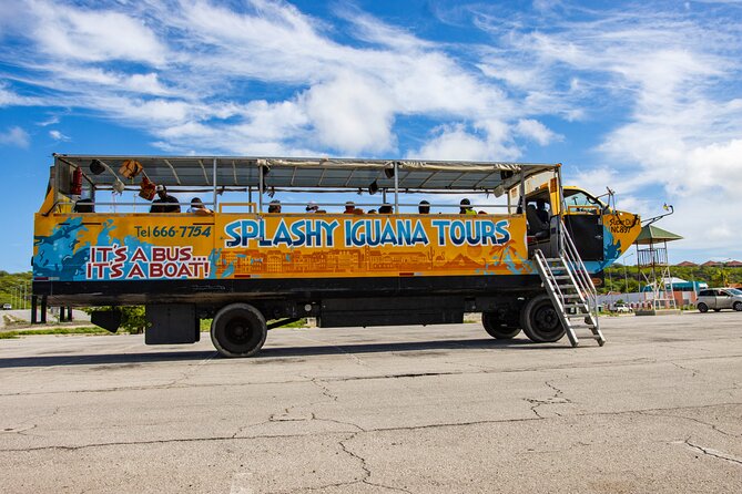 Splashy Iguana Tour in Curacao - A lively guide style with music and quizzes