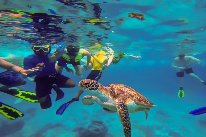Swim with Turtles at Turtle Bay, Curacao: Boat, Blue Room Cave - Safety, Comfort, and Who Should Skip It
