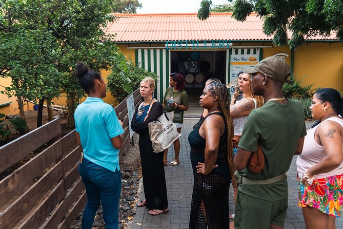 Taste of Curaçao: City Tour, Chobolobo & Mambo Beach - Mambo Beach gives the afternoon room to breathe