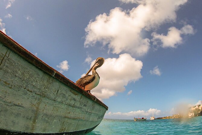 Turtle Swim at TurtleBay visit Flamingos & KnipBeach Safari Truck - The vehicle and road time affect the day