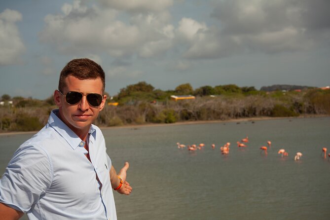 Turtles, Beach and Flamingo in Curacao Private photoshoot Tour - Timing, pickup, and physical demands